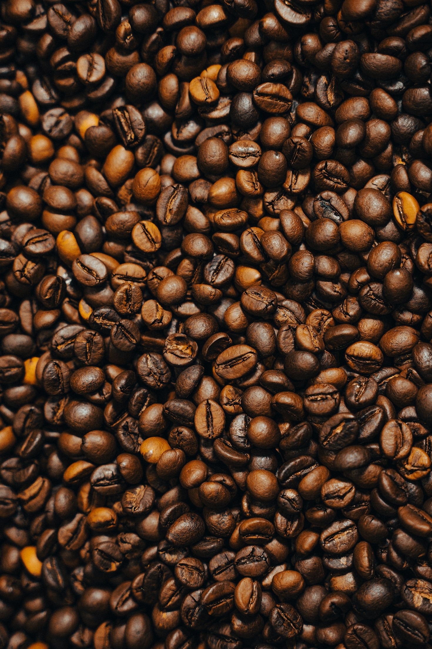 Transform Your Morning Routine with Intentional Coffee