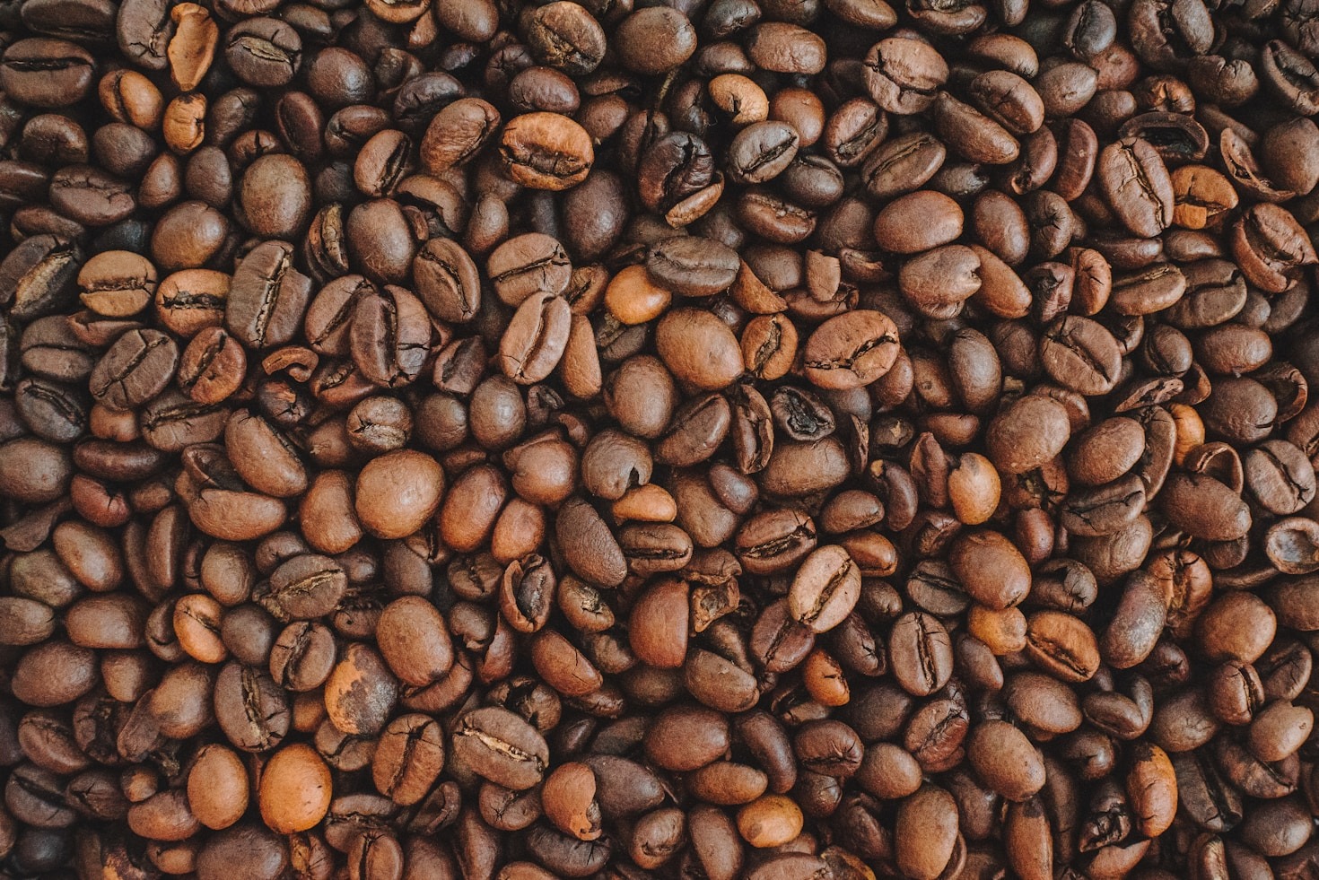 Exploring Wellness Through Coffee Rituals